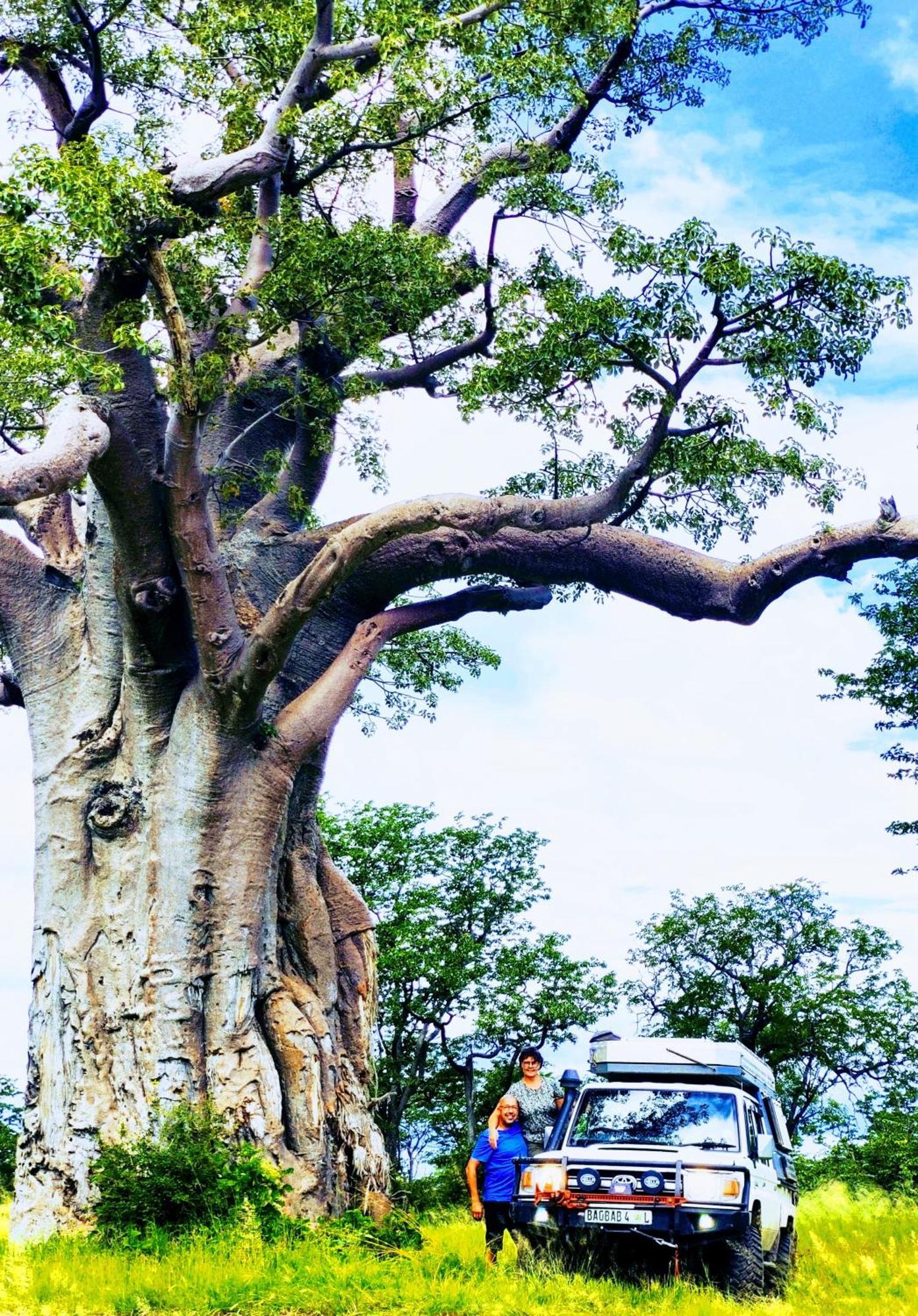 The Baobab Bush Lodge And Villa Hoedspruit Εξωτερικό φωτογραφία