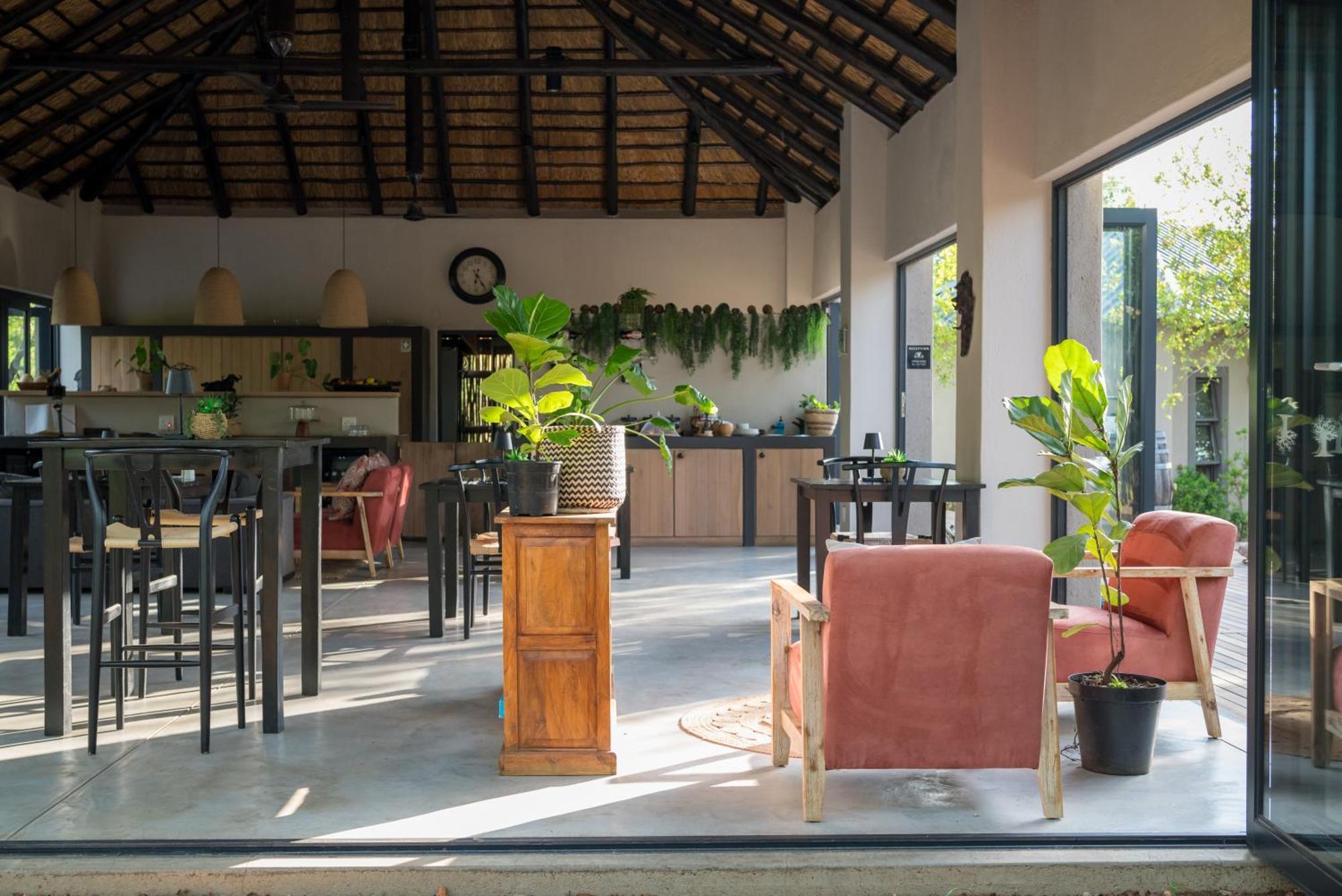 The Baobab Bush Lodge And Villa Hoedspruit Εξωτερικό φωτογραφία